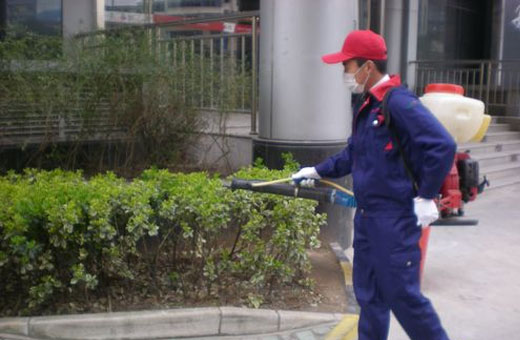 宿遷宿遷蠅類(lèi)防治
